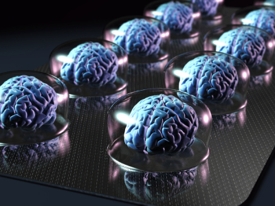 Brains in glass domes